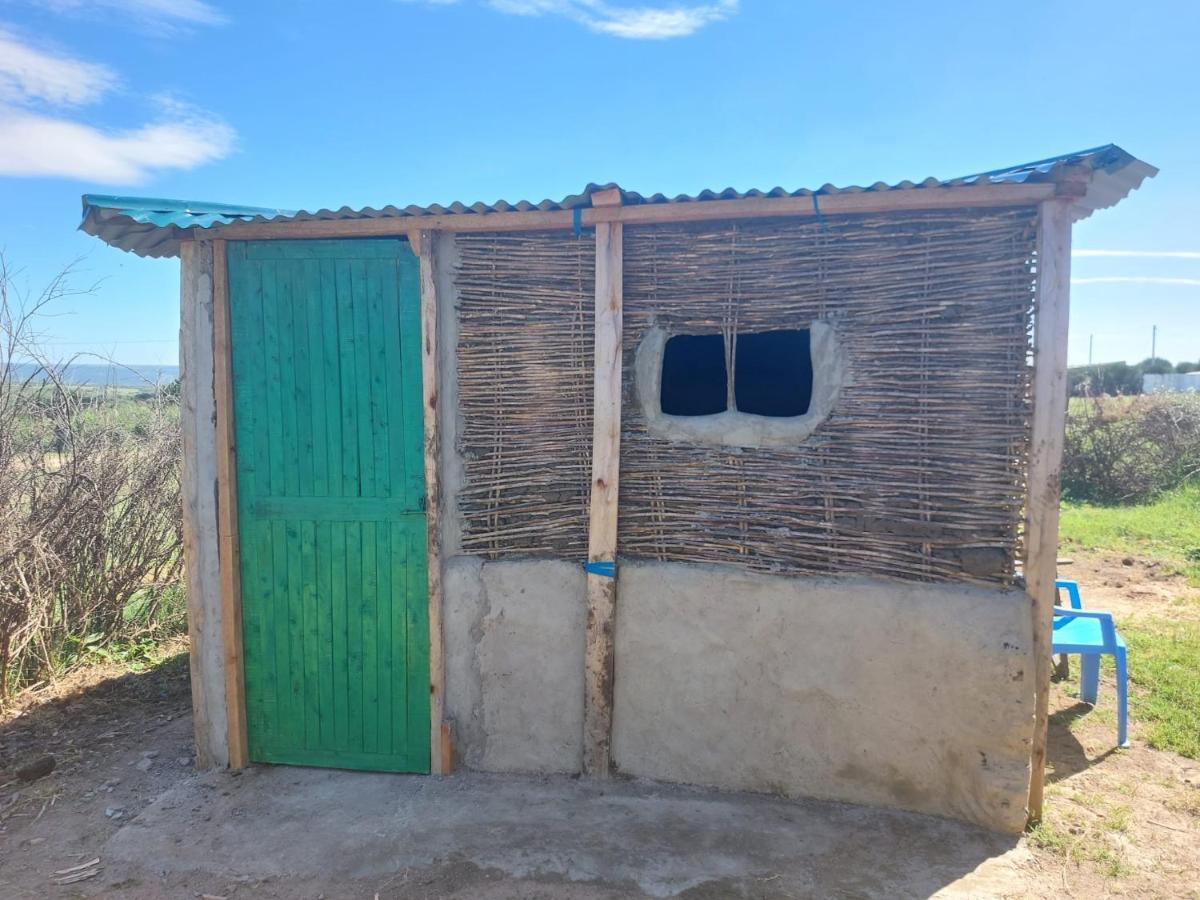Maasai Homestay Camping Sekenani Екстериор снимка